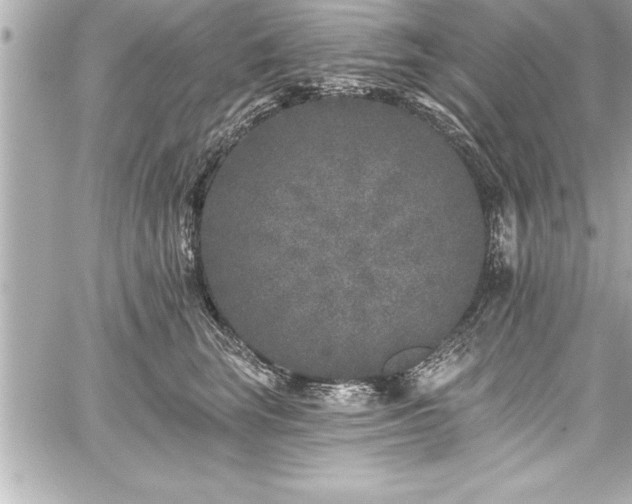 X0000059100663200510101220