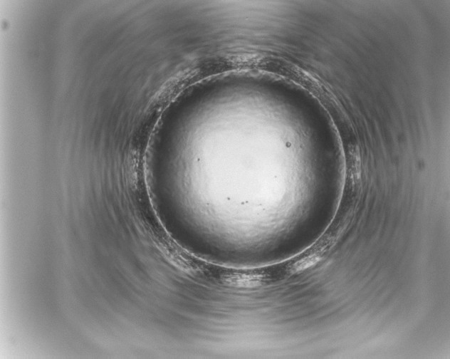 X0000059100664200510101220