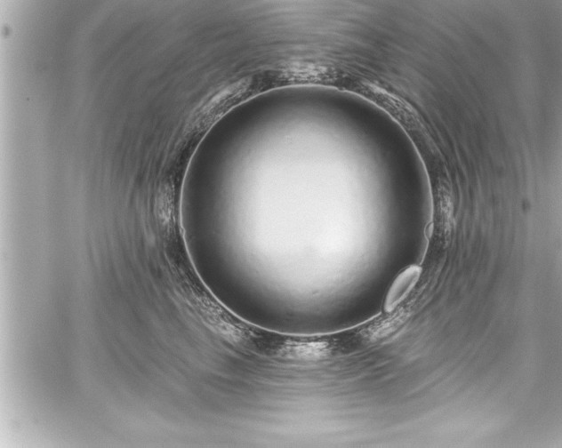 X0000059100665200510101220