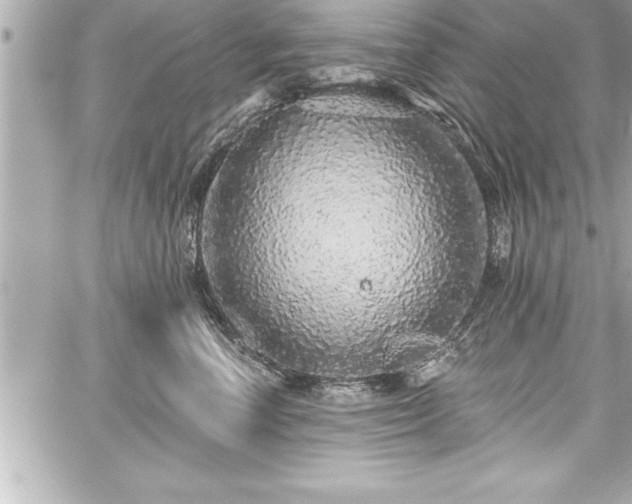 X0000059100666200510101220