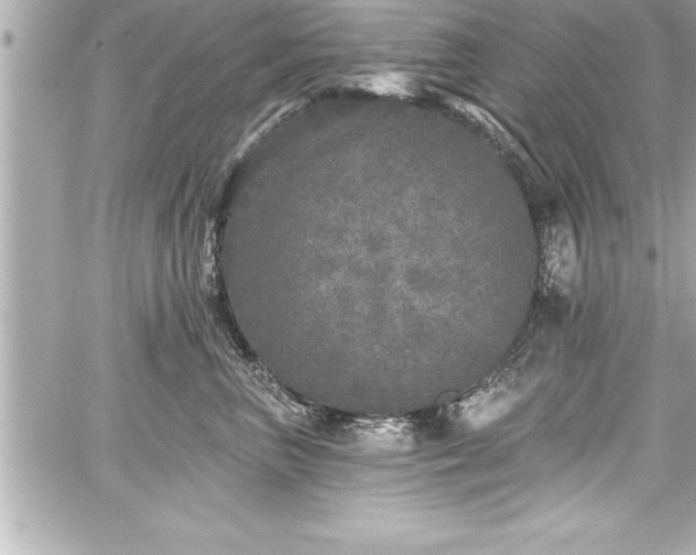 X0000059100667200510101220