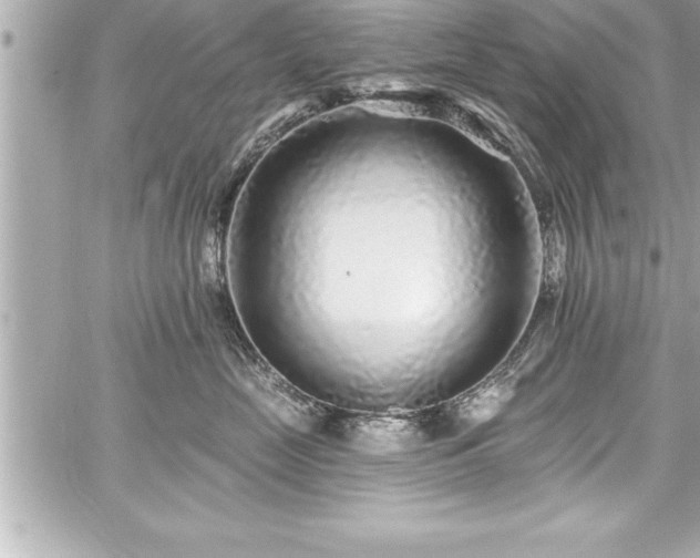 X0000059100669200510101220