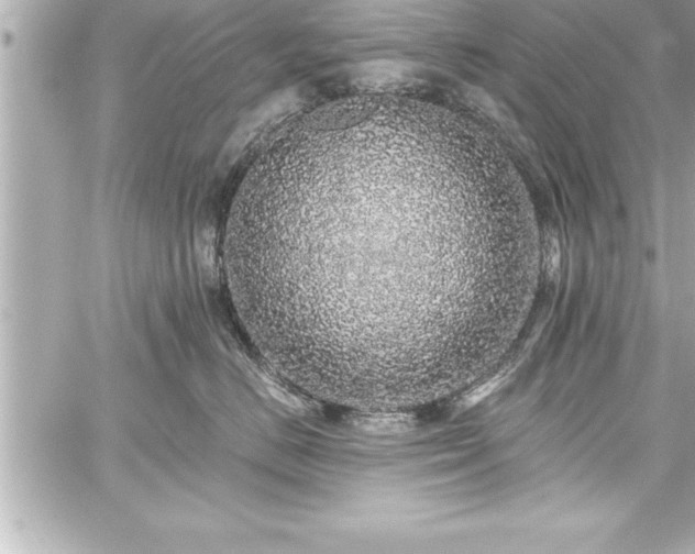 X0000059100670200510101220