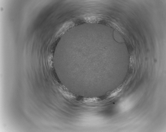 X0000059100671200510101220