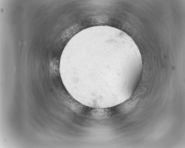 X0000059100672200510101220