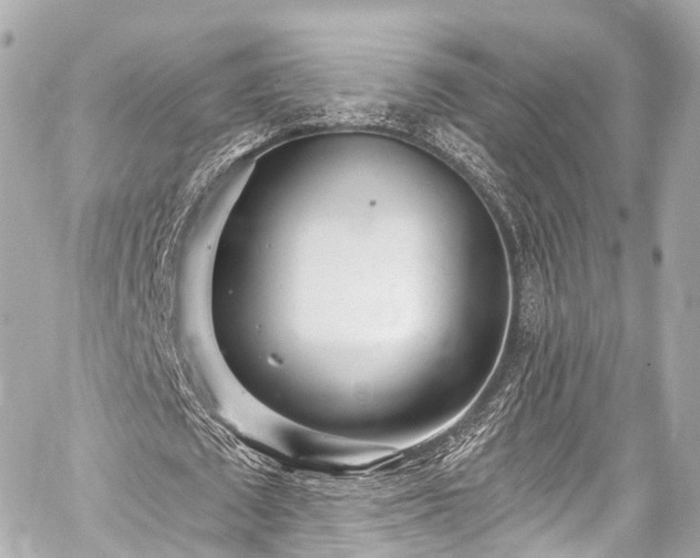 X0000059100673200510101219