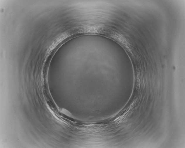 X0000059100674200510101219