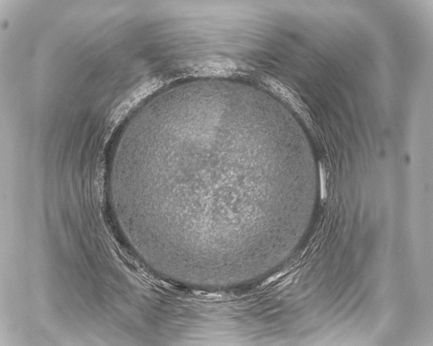 X0000059100675200510101219