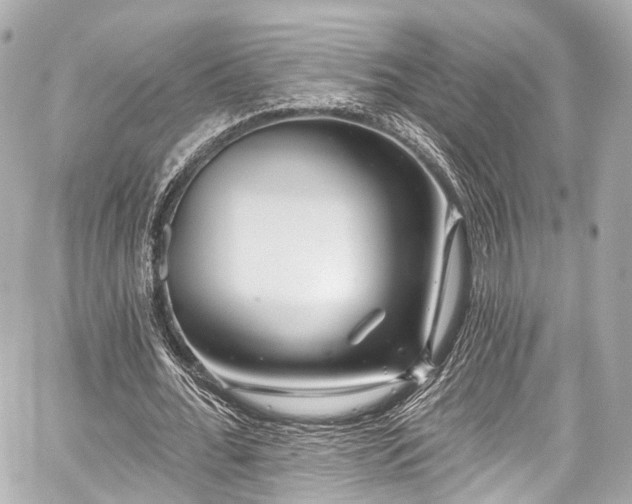 X0000059100676200510101219