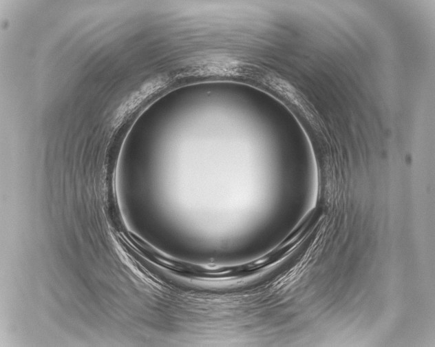 X0000059100677200510101219