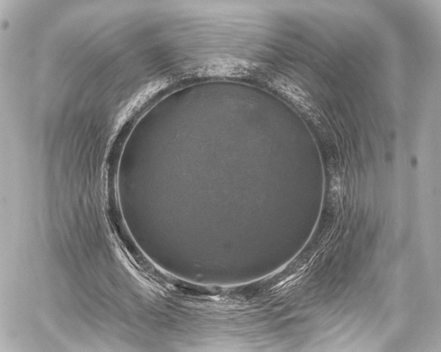 X0000059100678200510101219