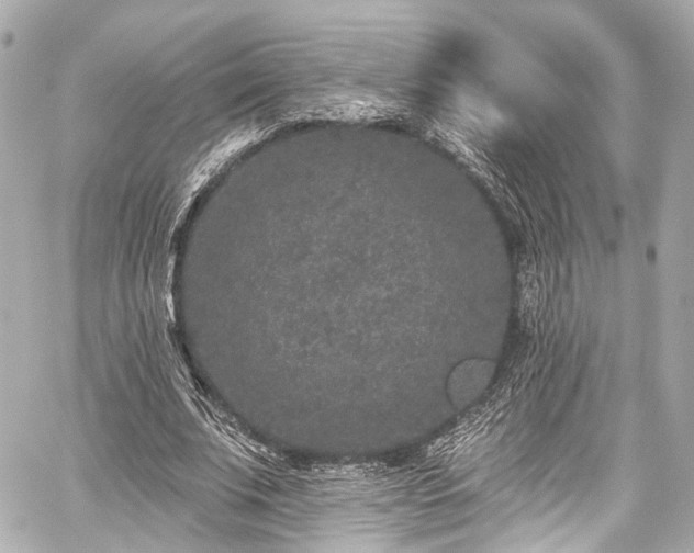 X0000059100679200510101219