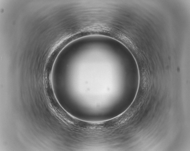 X0000059100680200510101219