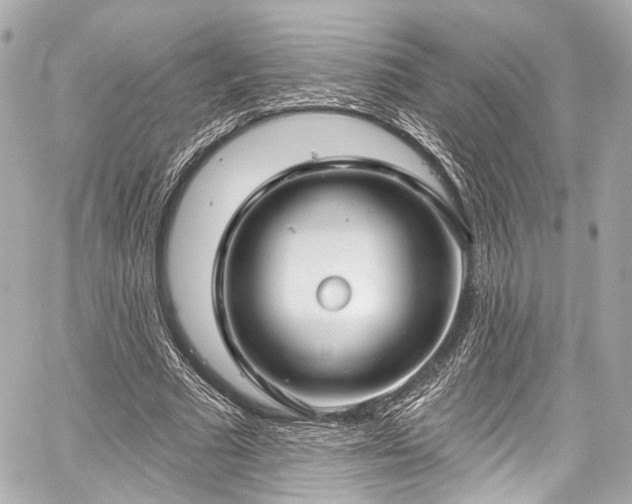 X0000059100681200510101219