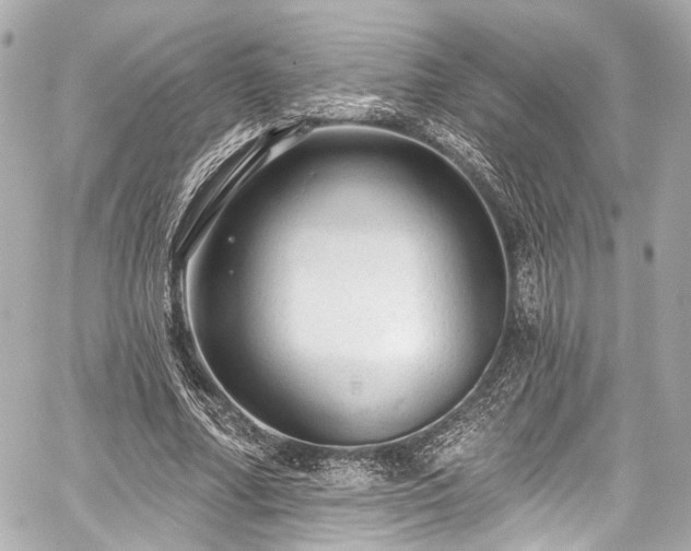 X0000059100682200510101219