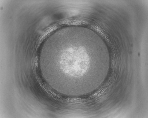 X0000059100683200510101219