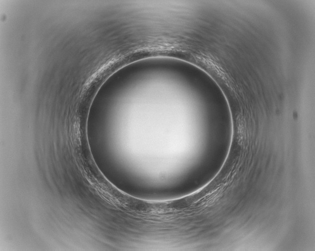 X0000059100684200510101219