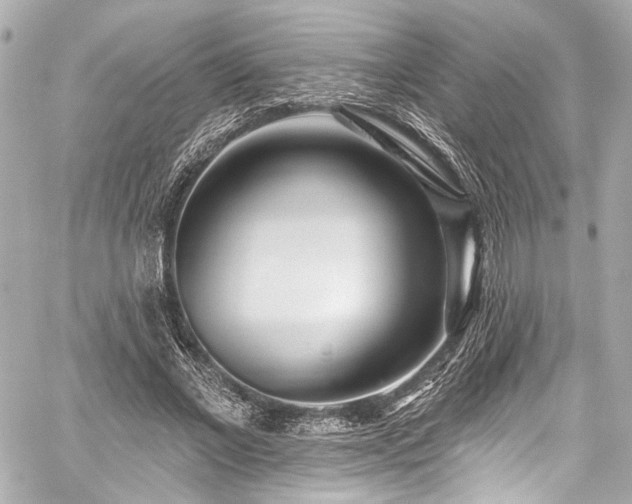 X0000059100685200510101219