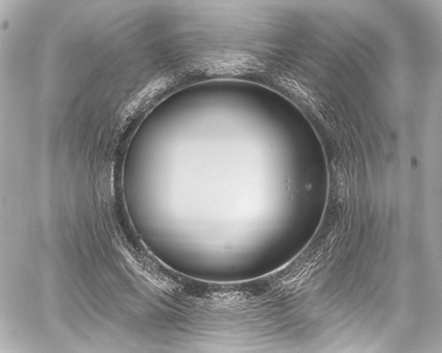 X0000059100686200510101219