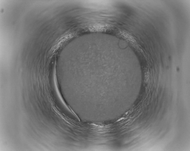 X0000059100687200510101219