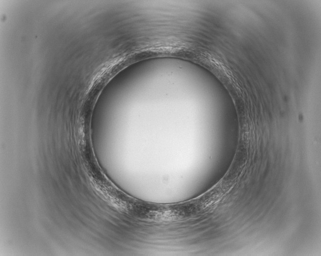 X0000059100688200510101219