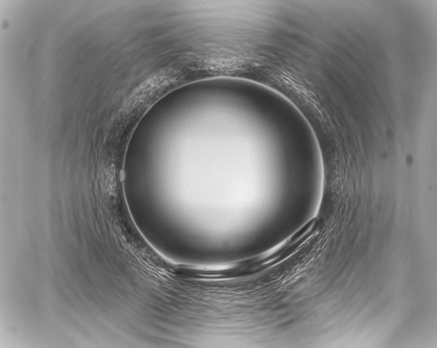 X0000059100689200510101219