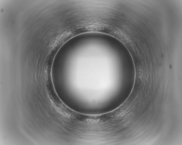 X0000059100690200510101219