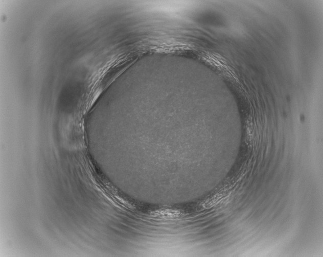 X0000059100691200510101219