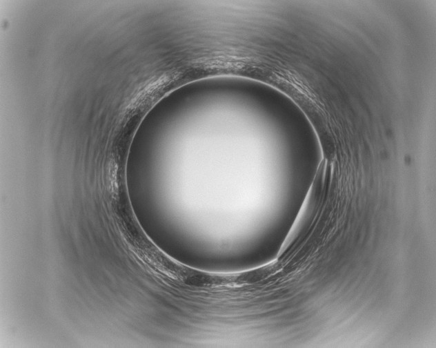 X0000059100692200510101219