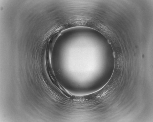 X0000059100693200510101219