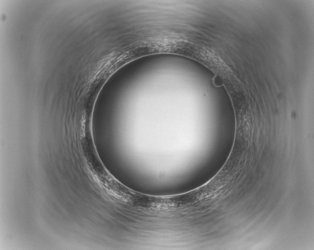 X0000059100694200510101219