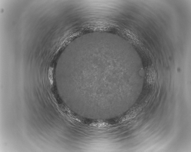 X0000059100695200510101219