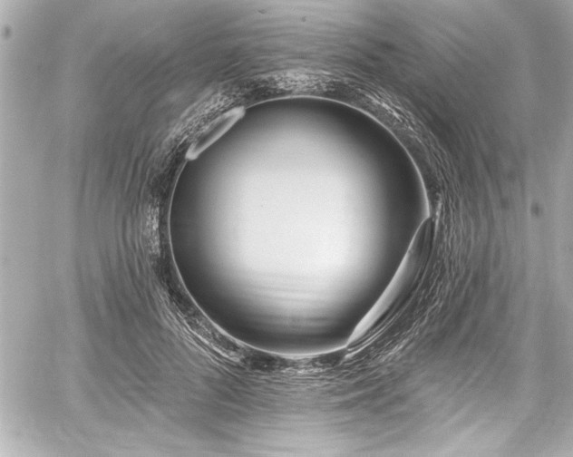 X0000059100696200510101219