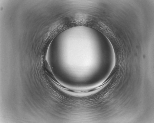 X0000059100697200510101219