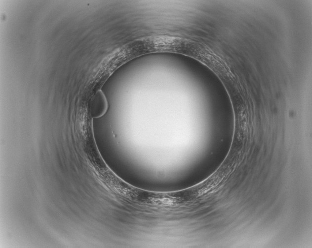 X0000059100698200510101219