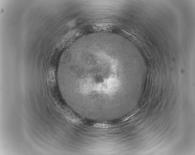 X0000059100699200510101219