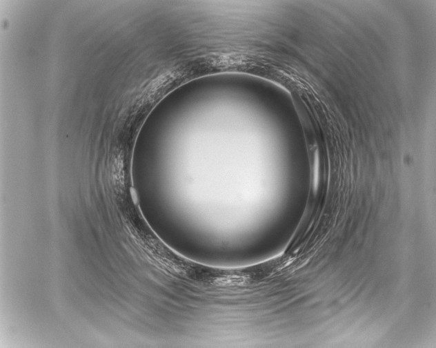 X0000059100700200510101219