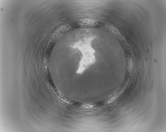 X0000059100701200510101218