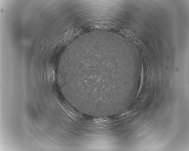 X0000059100703200510101218