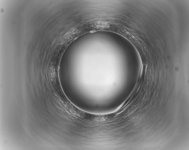 X0000059100704200510101218