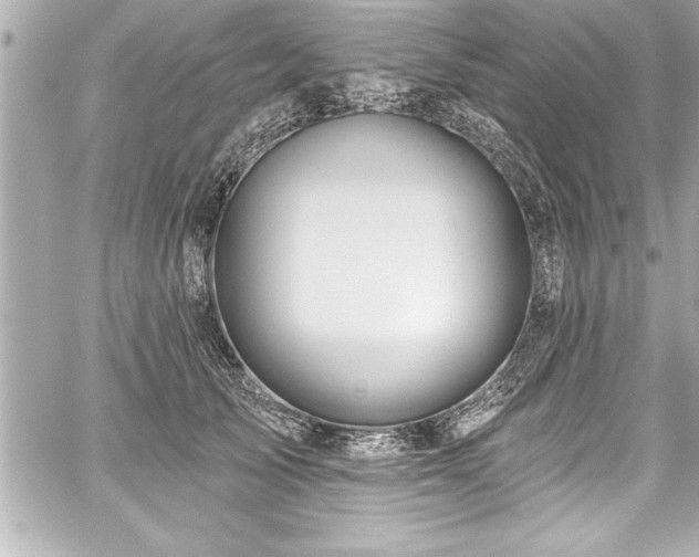 X0000059100705200510101218