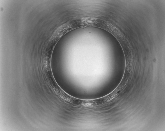 X0000059100706200510101218