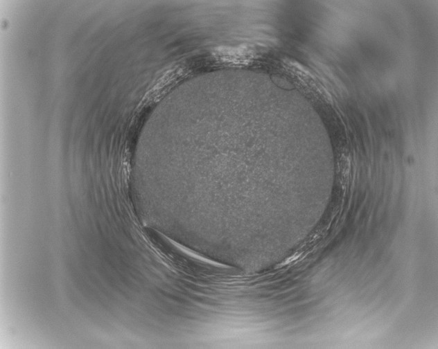 X0000059100707200510101218