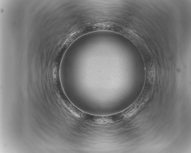 X0000059100708200510101218