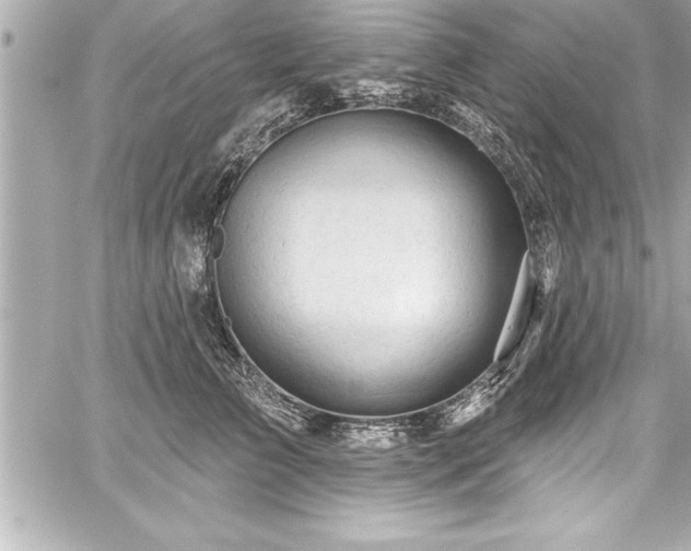 X0000059100709200510101218