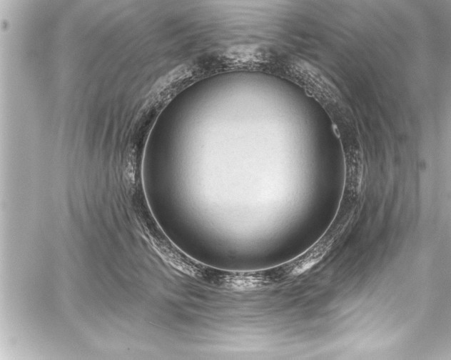 X0000059100710200510101218