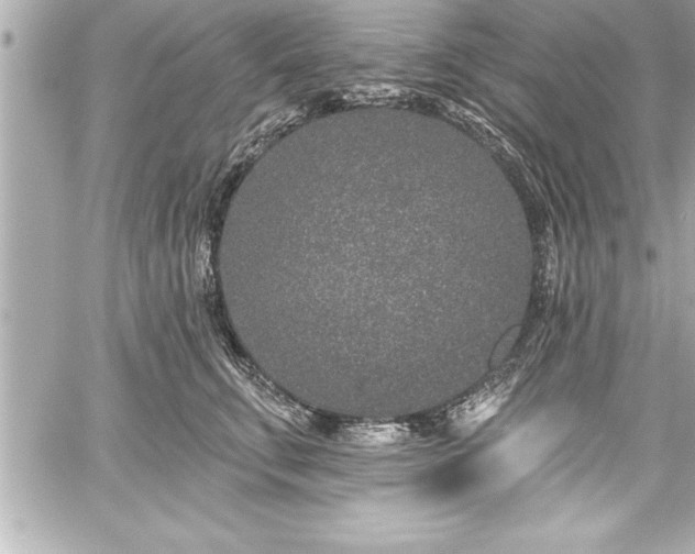 X0000059100711200510101218