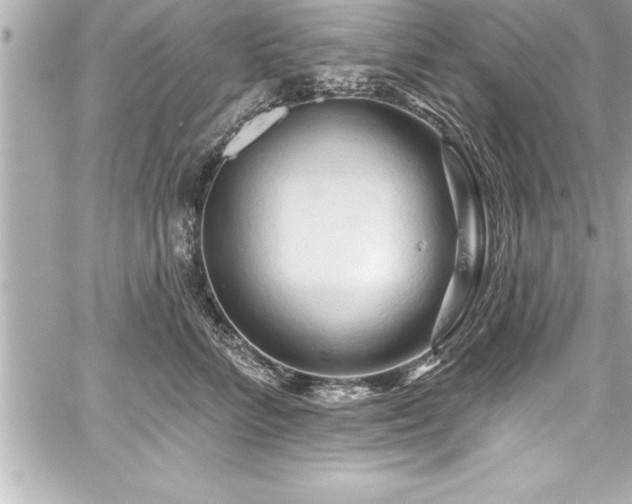 X0000059100712200510101218