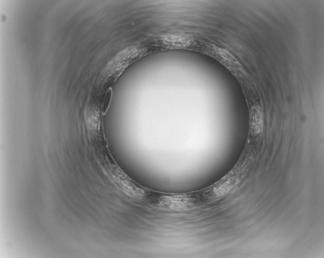 X0000059100713200510101218