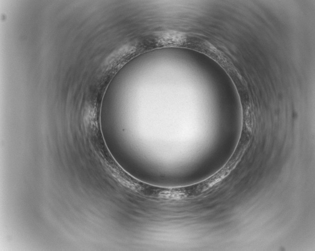 X0000059100714200510101218